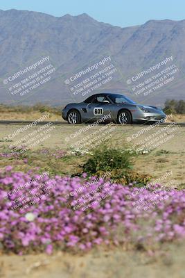 media/Jan-29-2023-PCA San Diego (Sun) [[aa0301ccc2]]/Yellow Group/Session 1 (Turn 15 Bloom)/